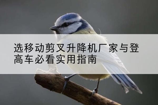 遵化电动升降机厂家-选移动剪叉升降机厂家与登高车必看实用指南