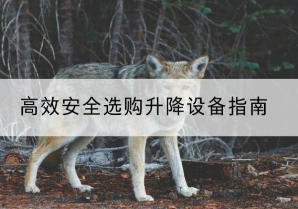 遵化升降货梯厂家推荐-*安全选购升降设备指南