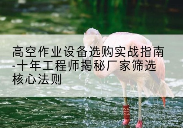 遵化剪叉式升降机厂家-高空作业设备选购实战指南-十年工程师揭秘厂家筛选核心法则